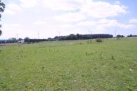 Rear Field Rear Field