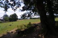 Bottom Field Bottom Field