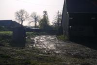 New Driveway New Driveway