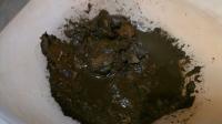Sludge Sludge